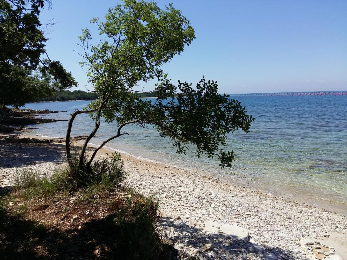 Dom Loron Poreč Exterior foto